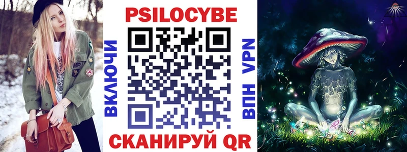 blacksprut ссылка  Плёс  Псилоцибиновые грибы GOLDEN TEACHER 